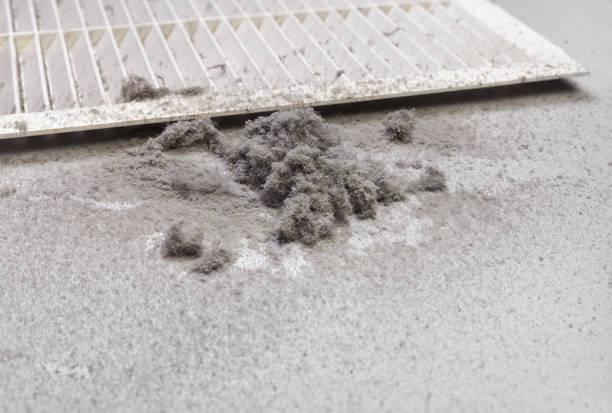Best Commercial HVAC Duct Cleaning  in Five Points, NC