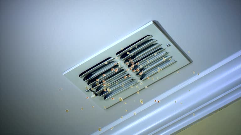 Best Duct Cleaning Specialists  in Five Points, NC