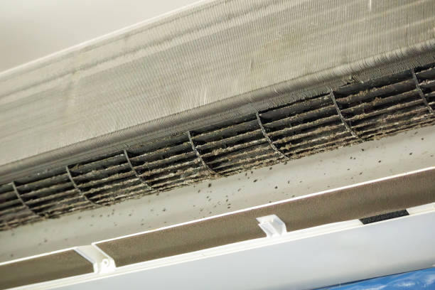 Best Air Duct Cleaning Near Me  in Five Points, NC